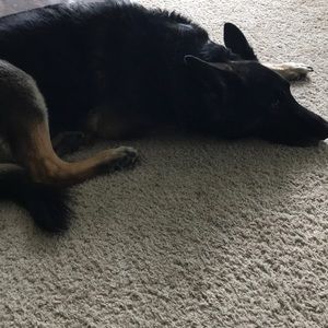 Meet your Posher, Nancy